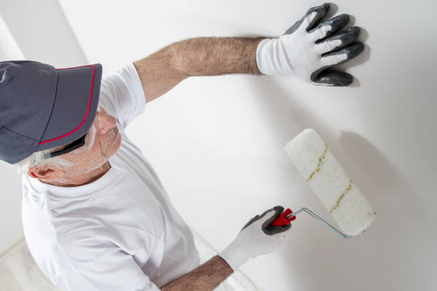 Best Fire-Damaged Drywall Repair  in USA